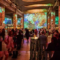 wine and food festival