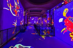 Mark Zhelezoglo for Hall des Lumières