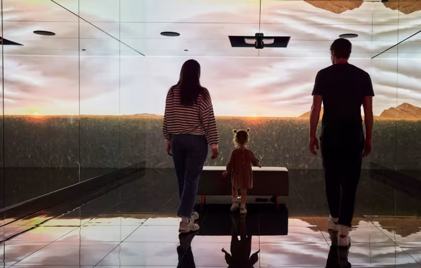 vault family projection