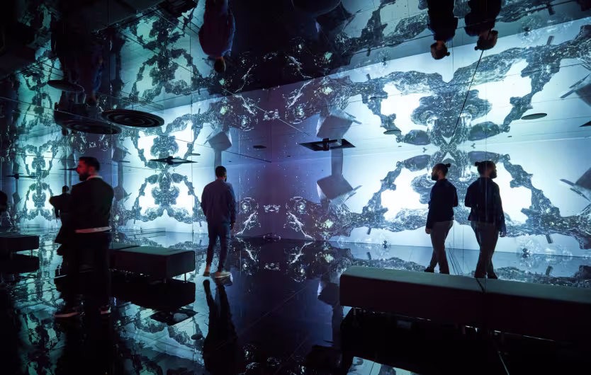 vault projection