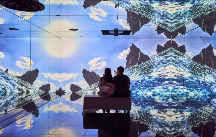 vault projection couple