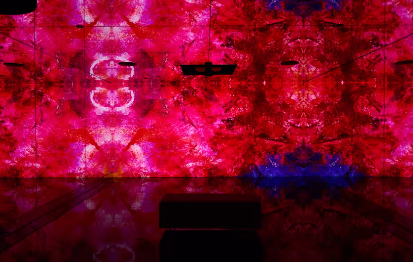 chagall vault