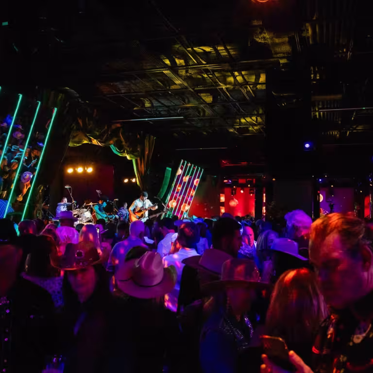 lower level party