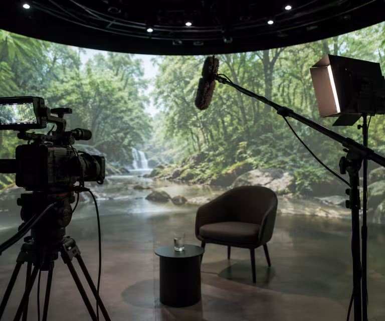 interview set with a jungle backdrop