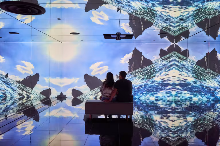 vault projection couple